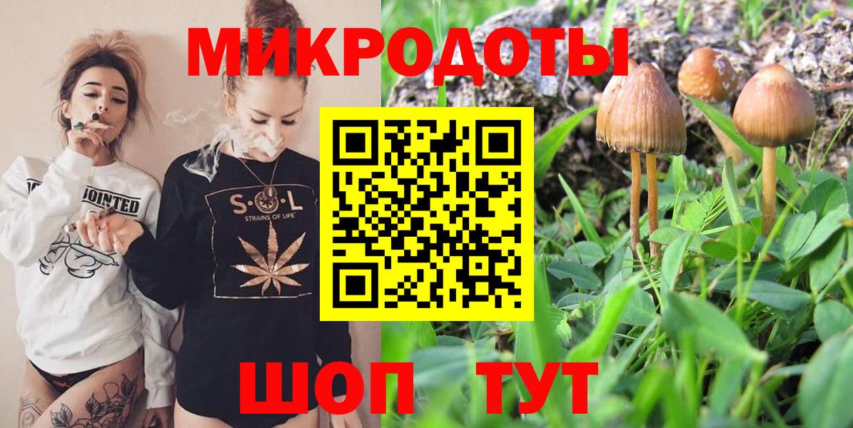 Галлюциногенные грибы прущие грибы Кимовск