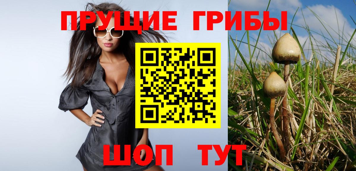 хочу   Галлюциногенные грибы Magic Shrooms  Вход с VPN  Кимовск 